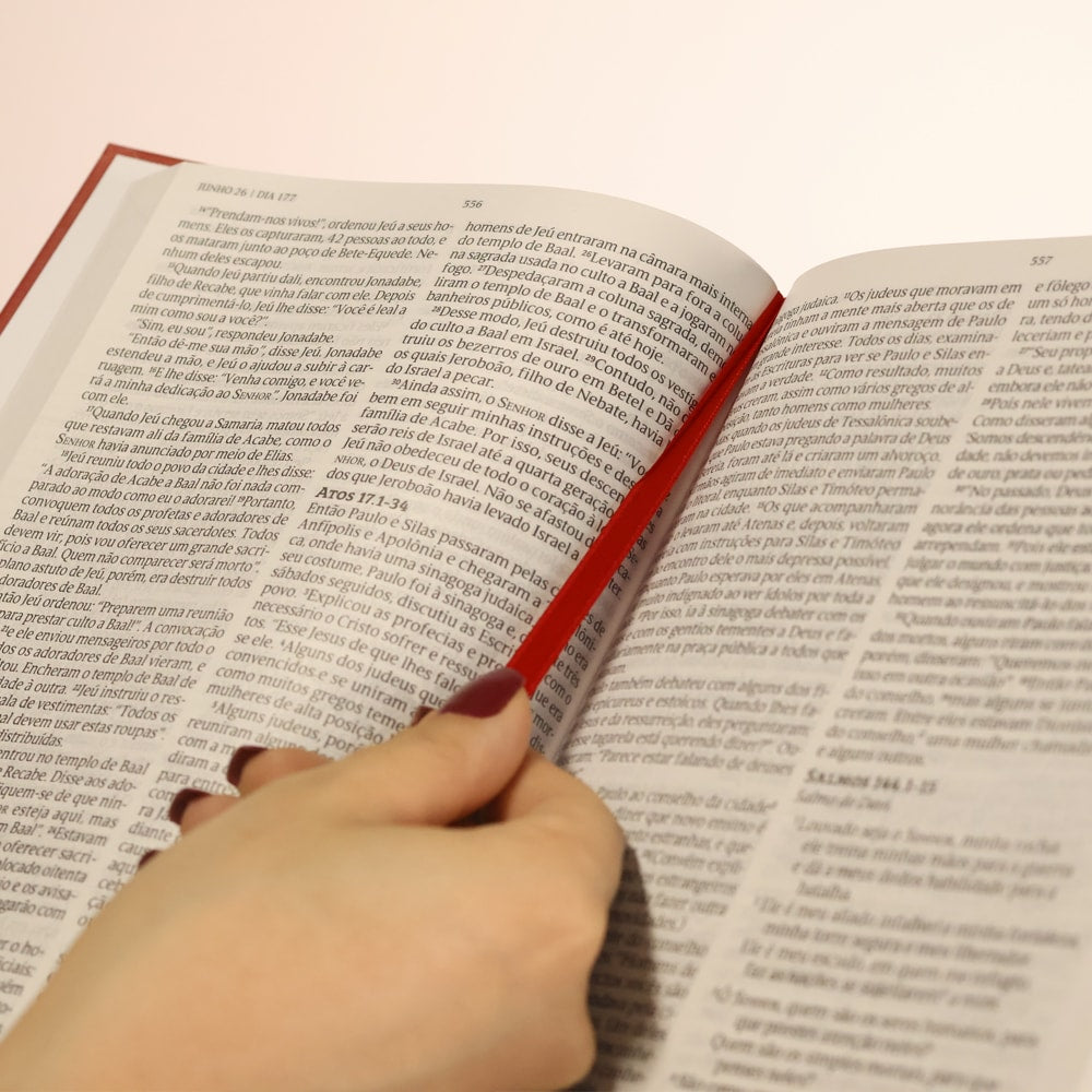 Bíblia 365 Standard Vermelha | NVT | Letra Grande | Capa Dura