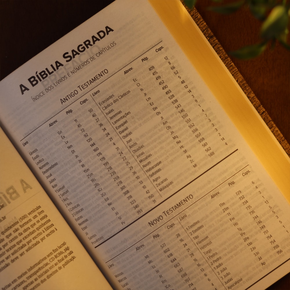 Bíblia Sagrada | NVI | Letra Normal | Capa Luxo Madeira Escura