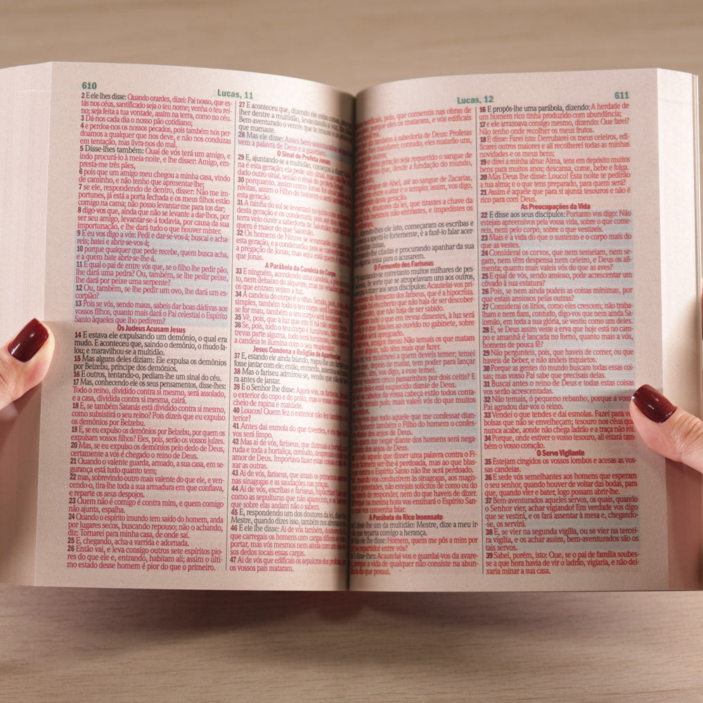 Bíblia Sagrada Leão | ARC | Letra Maior | Harpa e Corinhos | Capa Brochura