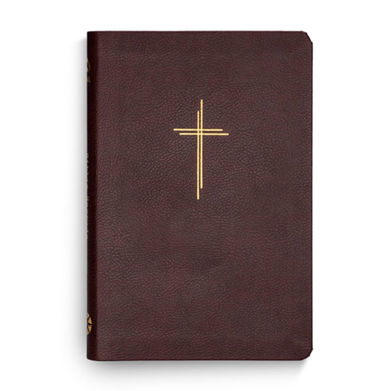 Bíblia Sagrada Livres Slim | NAA | Capa Vinho
