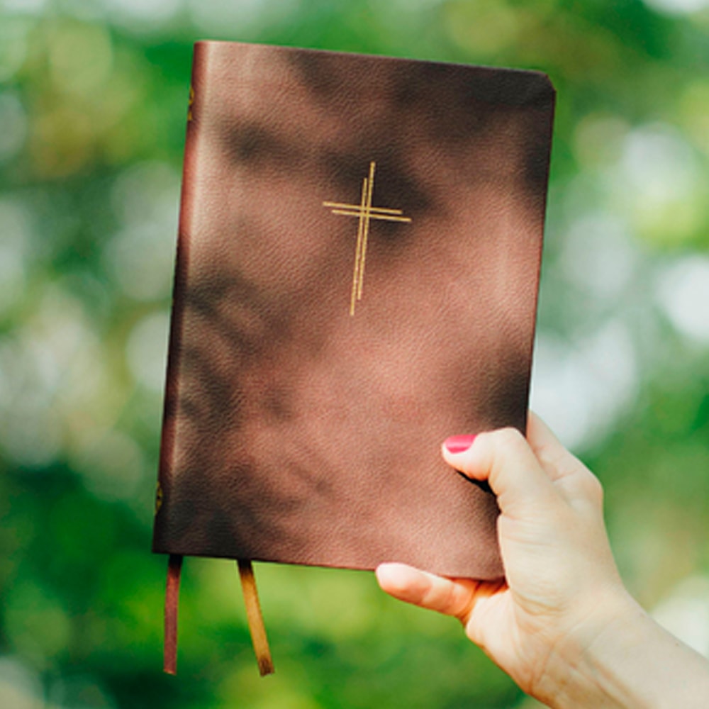 Bíblia Sagrada Livres Slim | NAA | Capa Vinho