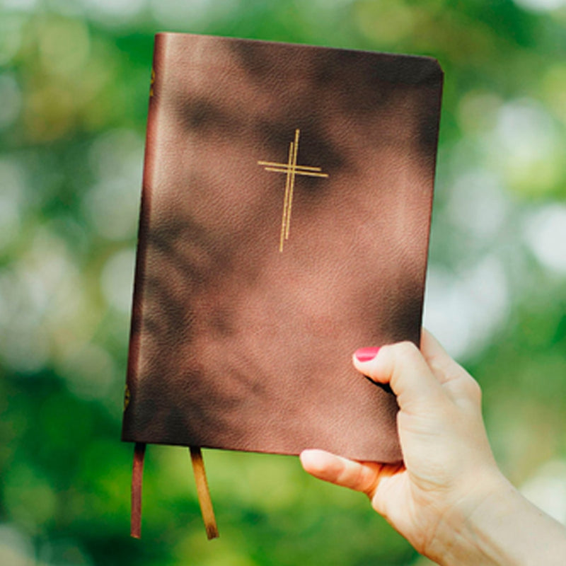 Bíblia Sagrada Livres Slim | NAA | Capa Vinho