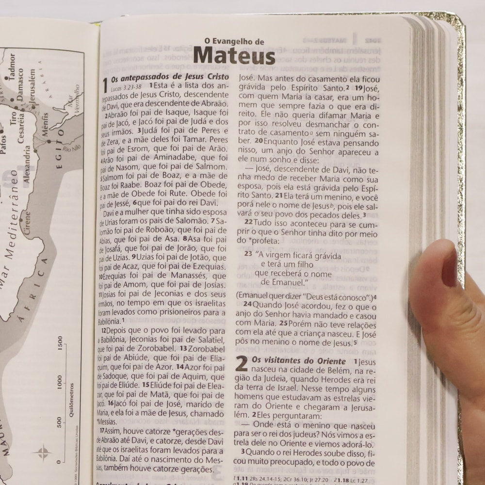 Bíblia Sagrada | NTLH | Letra Grande | Capa Cristal Dourado Fosco