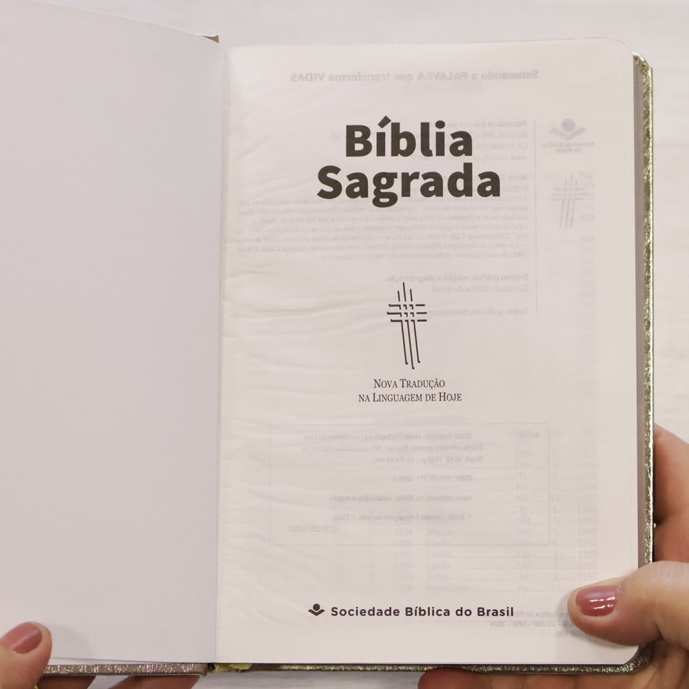 Bíblia Sagrada | NTLH | Letra Grande | Capa Cristal Dourado Fosco