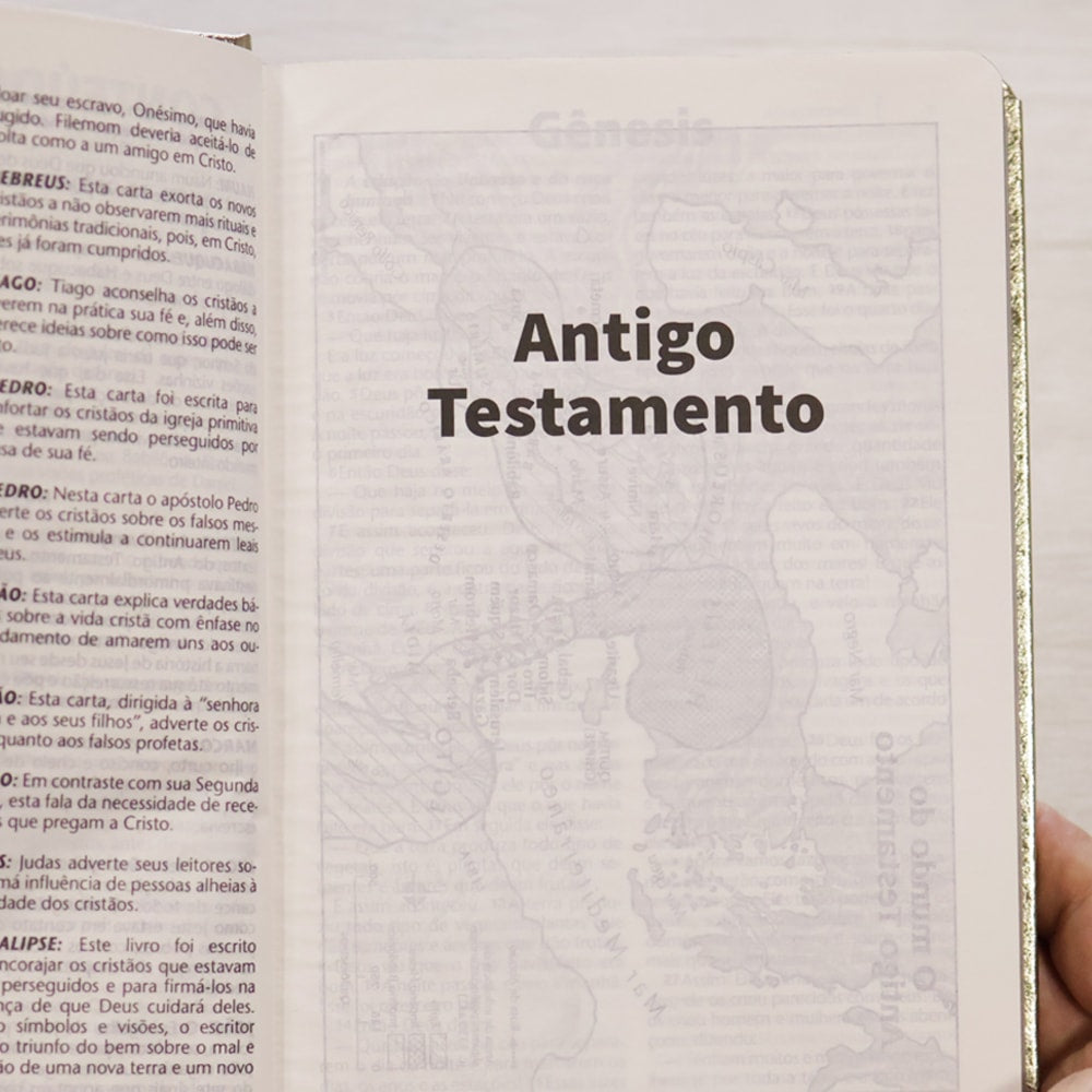 Bíblia Sagrada | NTLH | Letra Grande | Capa Cristal Dourado Fosco