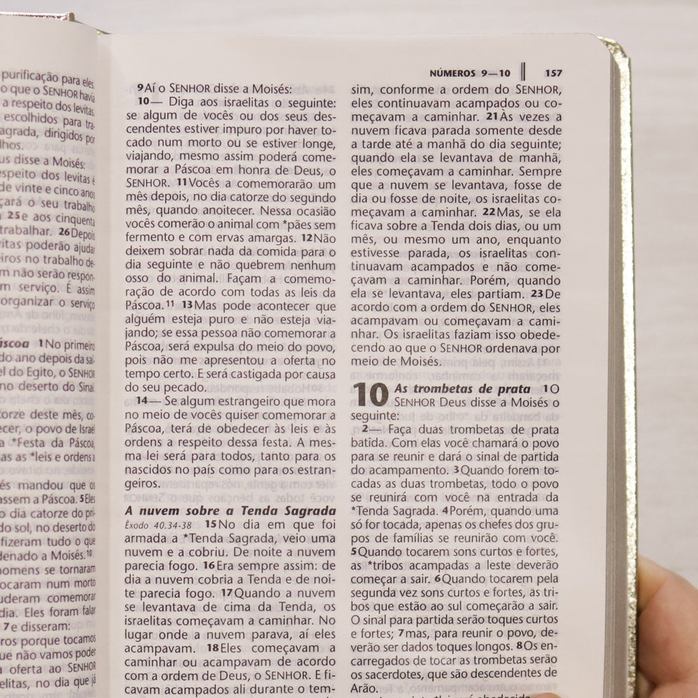 Bíblia Sagrada | NTLH | Letra Grande | Capa Cristal Dourado Fosco
