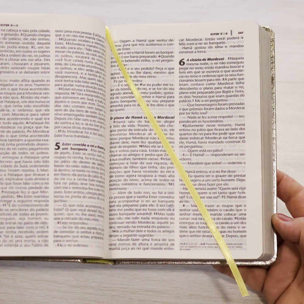 Bíblia Sagrada | NTLH | Letra Grande | Capa Cristal Dourado Fosco