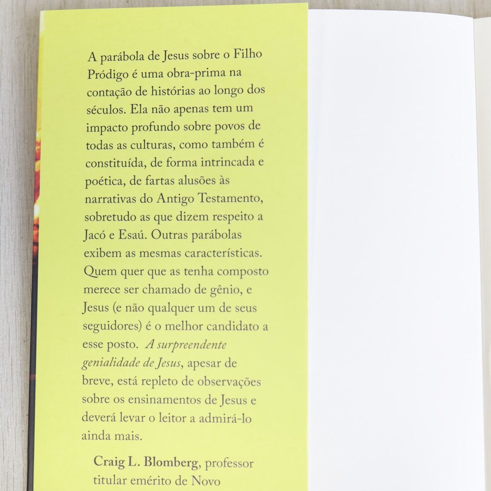 A Supreendente Genialidade de Jesus | Peter J. Williams