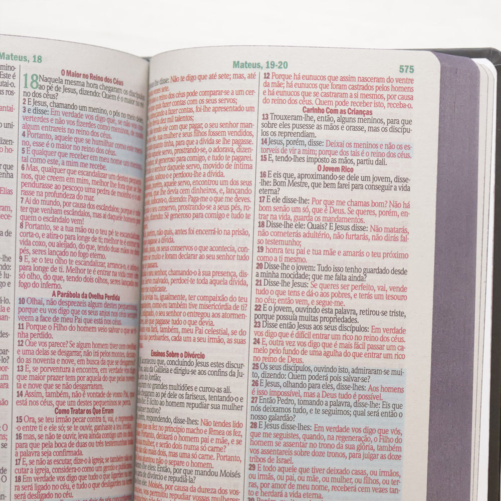 Bíblia Sagrada Ide | ARC | Letra Maior | Harpa e Corinhos | Capa Dura