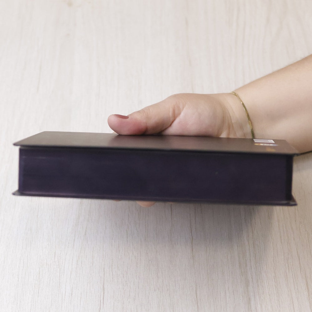 Bíblia Sagrada Ide | ARC | Letra Maior | Harpa e Corinhos | Capa Dura