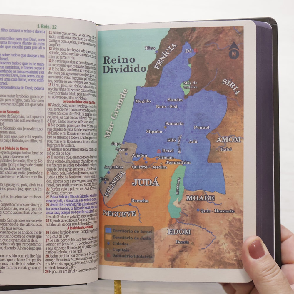 Bíblia Sagrada Ide | ARC | Letra Maior | Harpa e Corinhos | Capa Dura