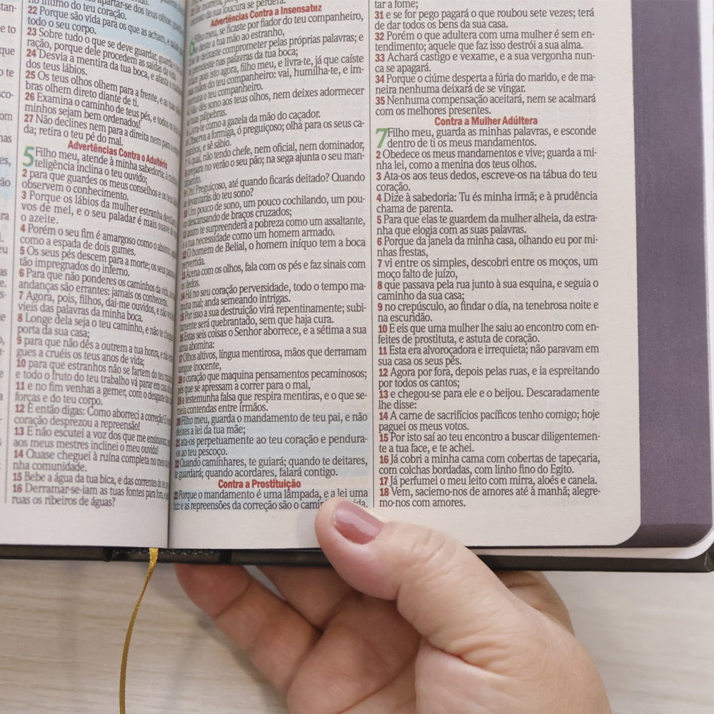 Bíblia Sagrada Ide | ARC | Letra Maior | Harpa e Corinhos | Capa Dura