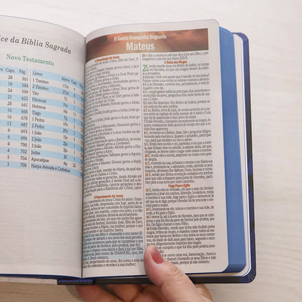 Bíblia Sagrada Leão Consumado | ARC | Letra Maior | Harpa e Corinhos | Capa Dura