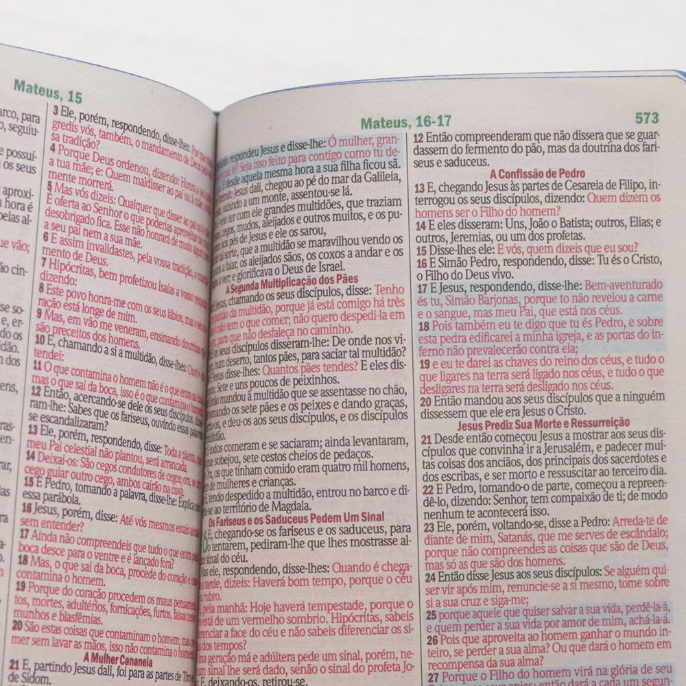 Bíblia Sagrada Leão Consumado | ARC | Letra Maior | Harpa e Corinhos | Capa Dura