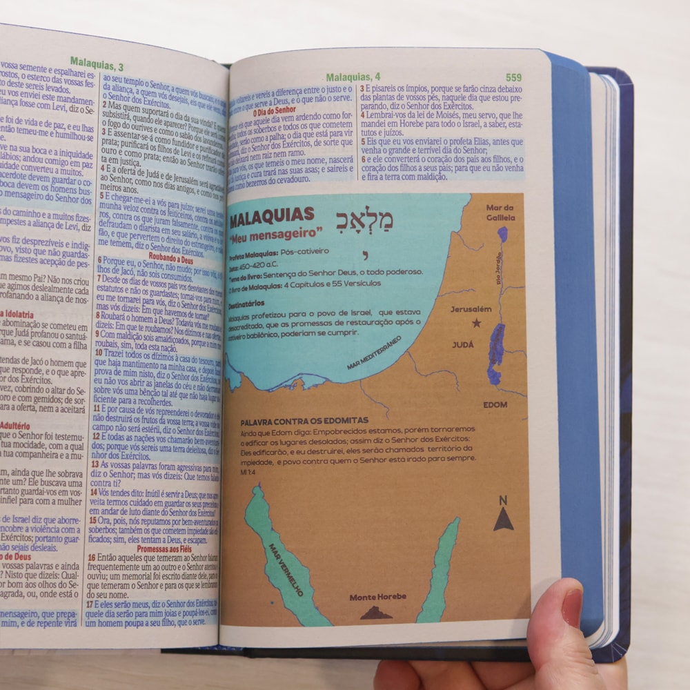 Bíblia Sagrada Leão Consumado | ARC | Letra Maior | Harpa e Corinhos | Capa Dura