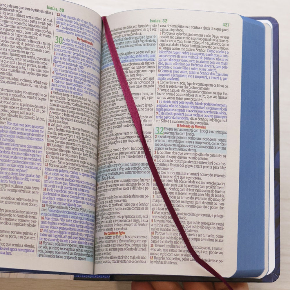 Bíblia Sagrada Leão Consumado | ARC | Letra Maior | Harpa e Corinhos | Capa Dura