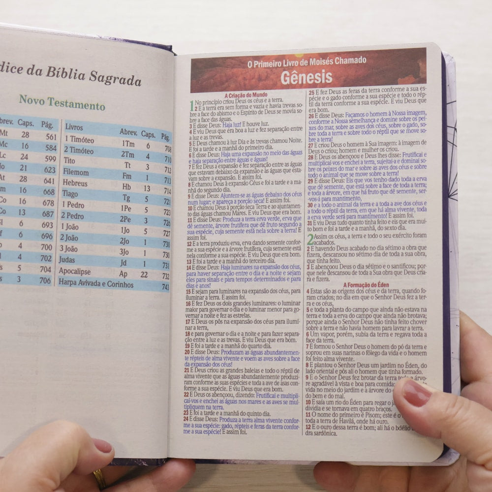 Bíblia Sagrada Leão Ruja | ARC | Letra Maior | Harpa e Corinhos | Capa Dura