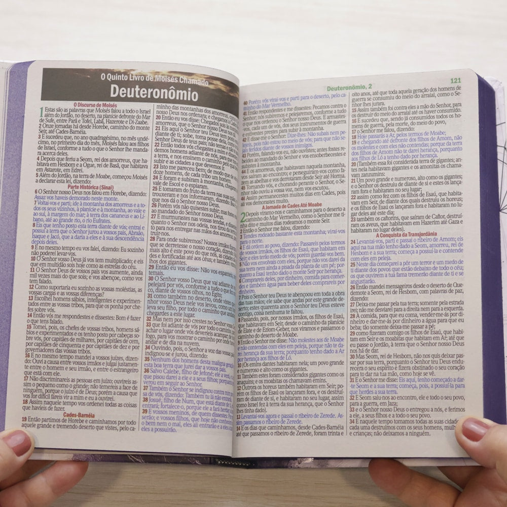 Bíblia Sagrada Leão Ruja | ARC | Letra Maior | Harpa e Corinhos | Capa Dura