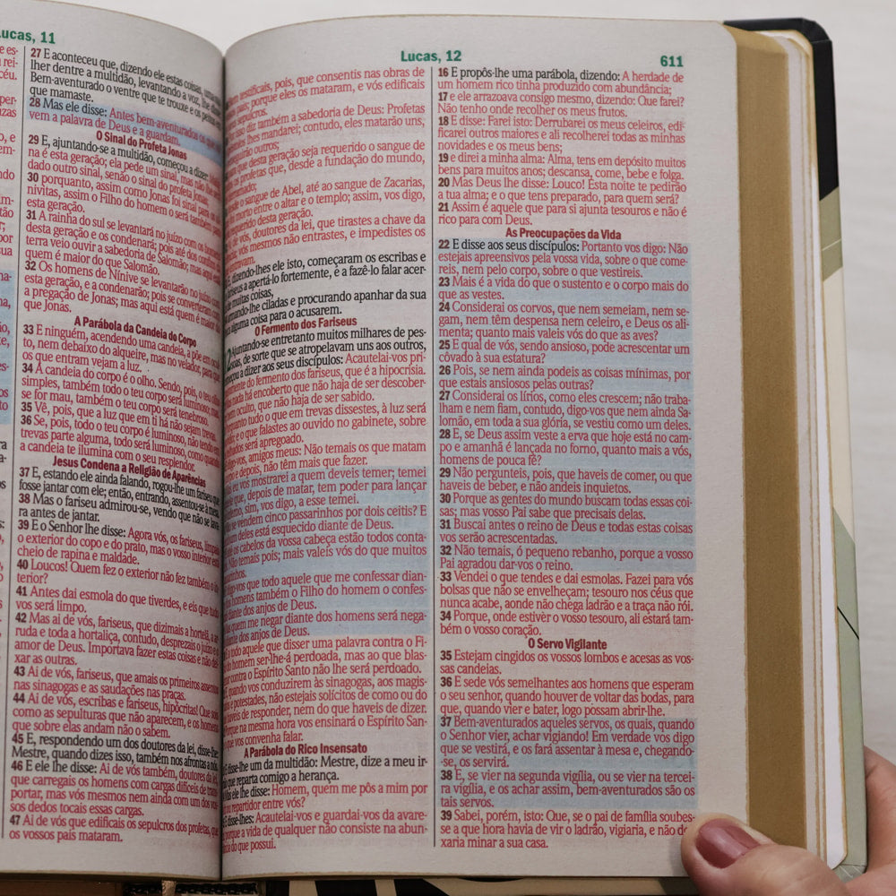 Bíblia Sagrada Nada Será Capaz | ARC | Letra Maior | Harpa e Corinhos | Capa Dura