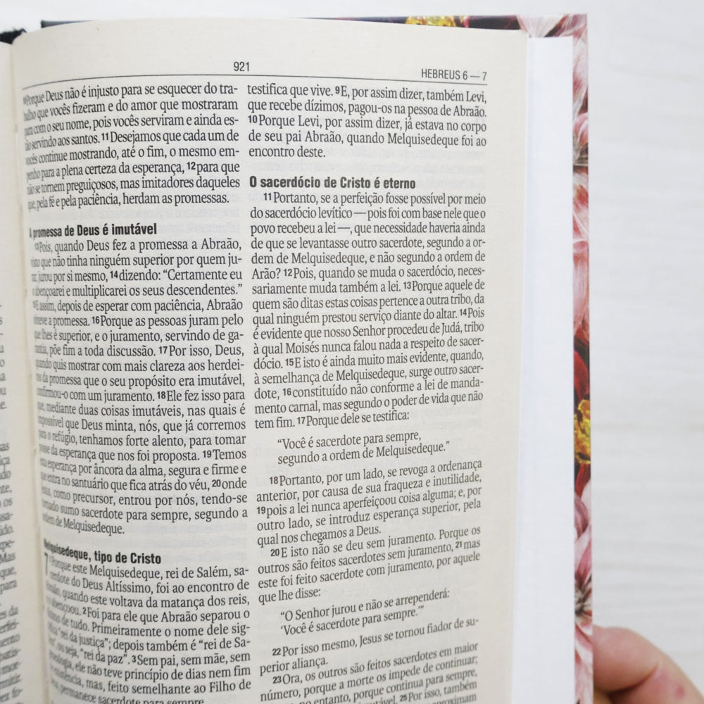 Bíblia Sagrada Crisântemo | NAA | Letra Normal | Capa Dura