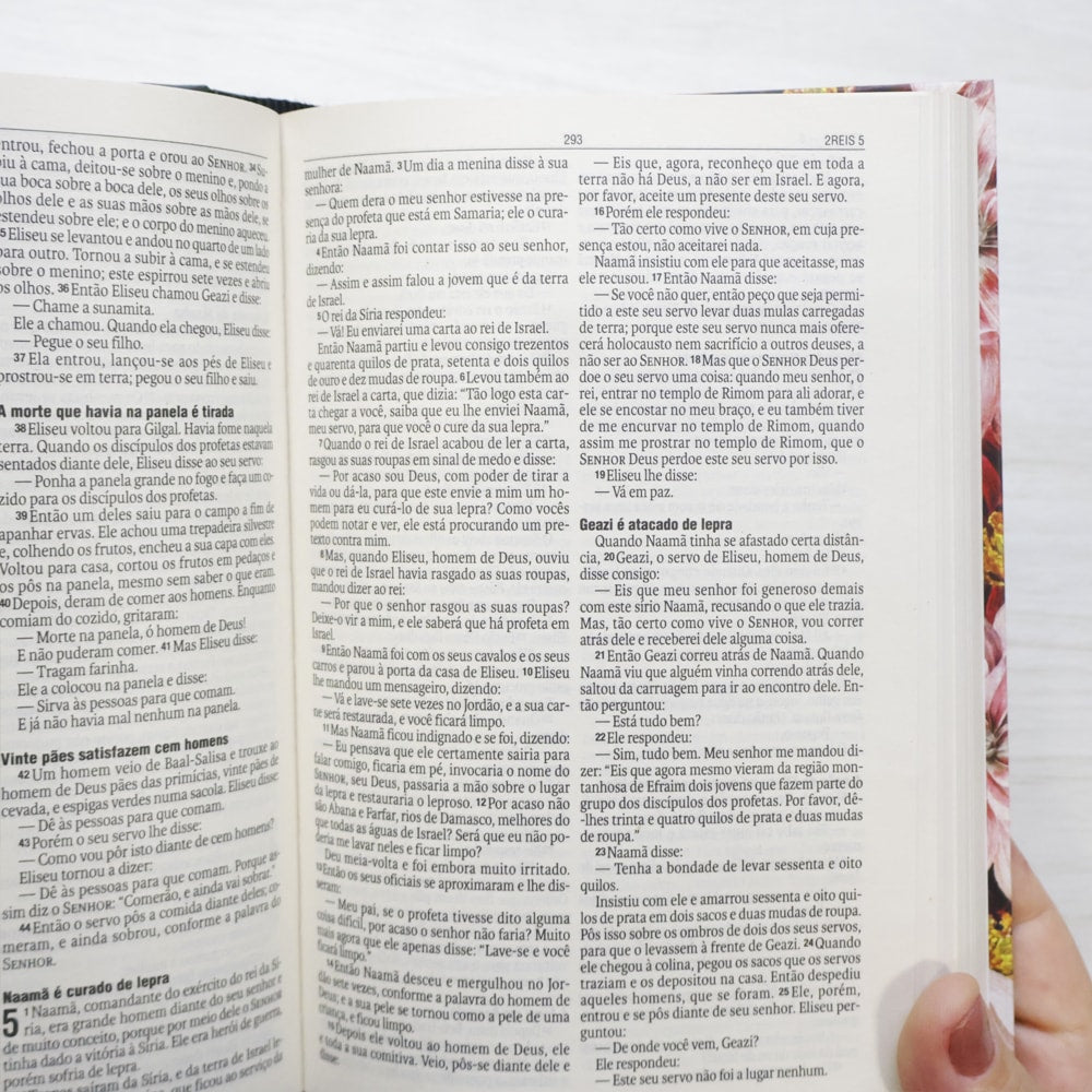 Bíblia Sagrada Crisântemo | NAA | Letra Normal | Capa Dura