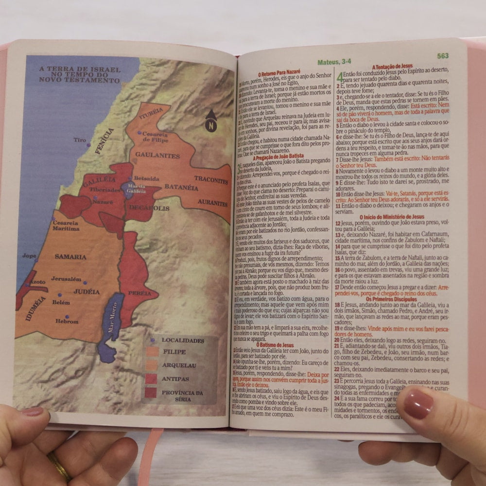 Bíblia Sagrada Flores | ARC | Letra Maior | Harpa e Corinhos | Capa Dura