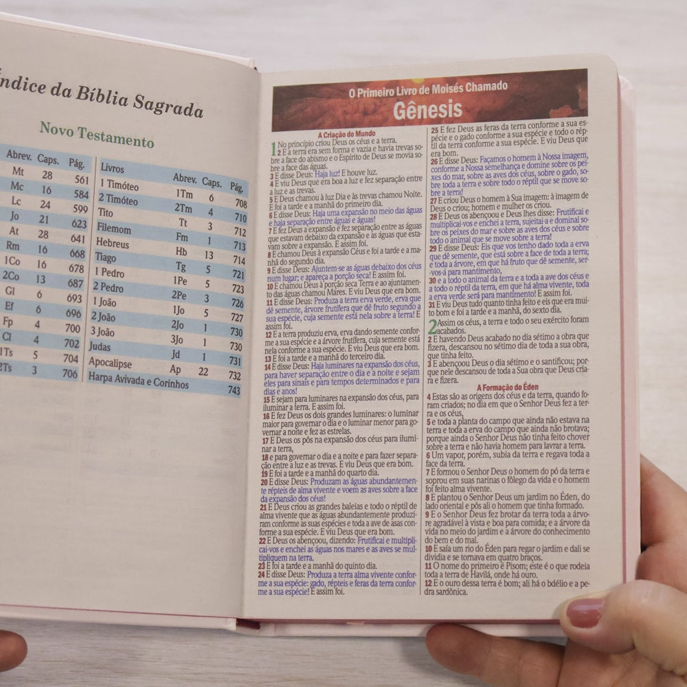 Bíblia Sagrada Flores | ARC | Letra Maior | Harpa e Corinhos | Capa Dura