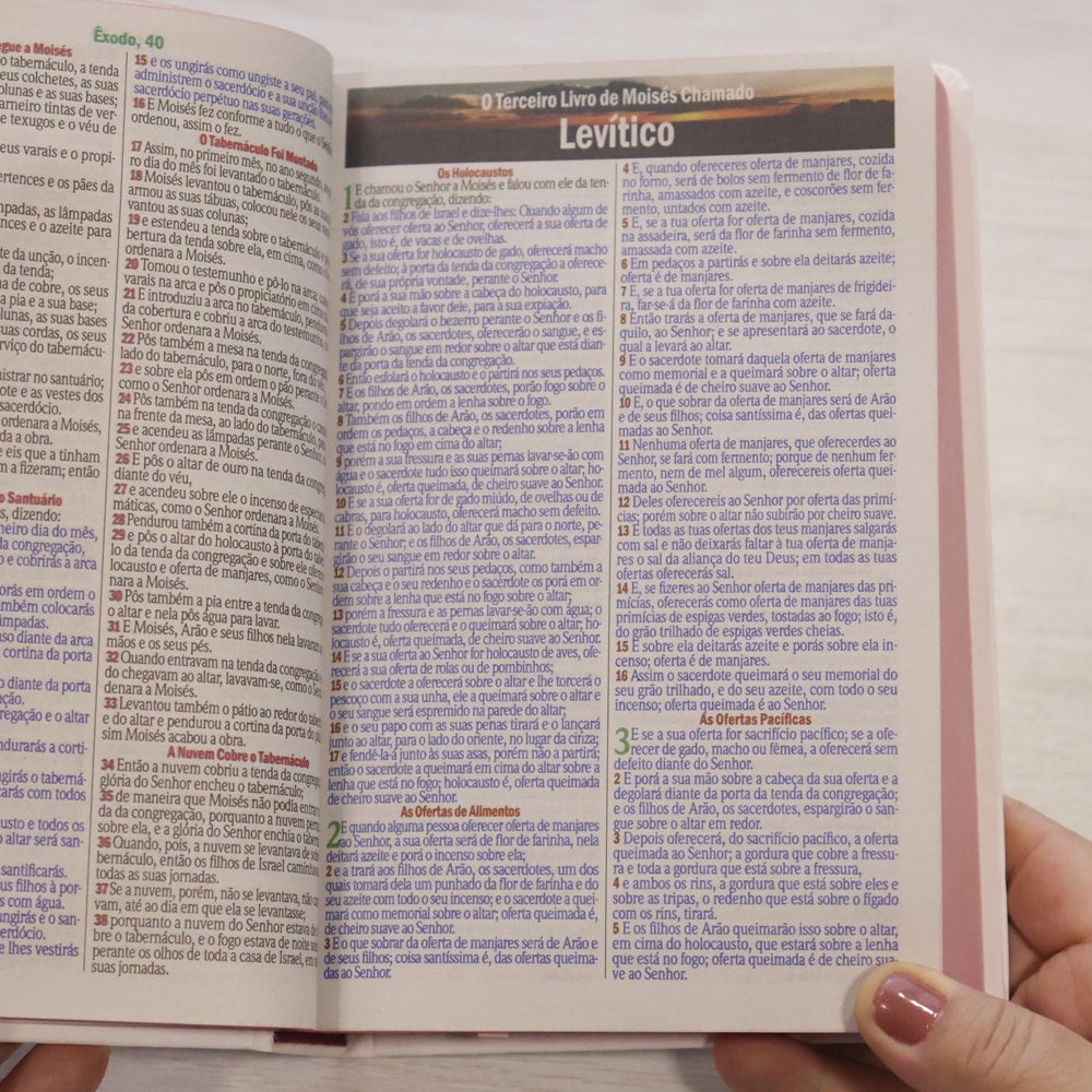 Bíblia Sagrada Flores | ARC | Letra Maior | Harpa e Corinhos | Capa Dura