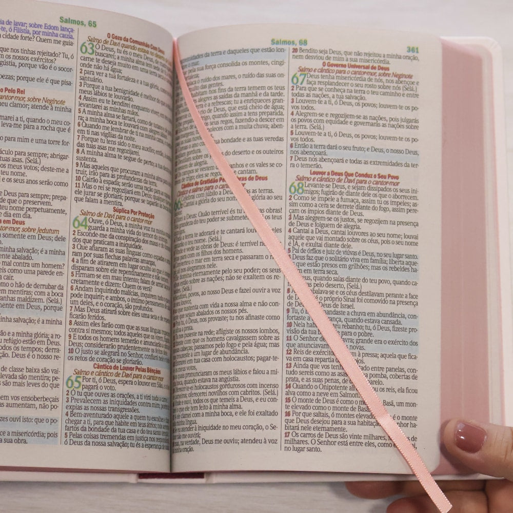 Bíblia Sagrada Flores | ARC | Letra Maior | Harpa e Corinhos | Capa Dura