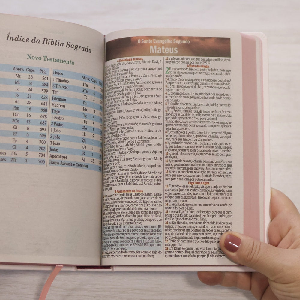 Bíblia Sagrada Flores | ARC | Letra Maior | Harpa e Corinhos | Capa Dura