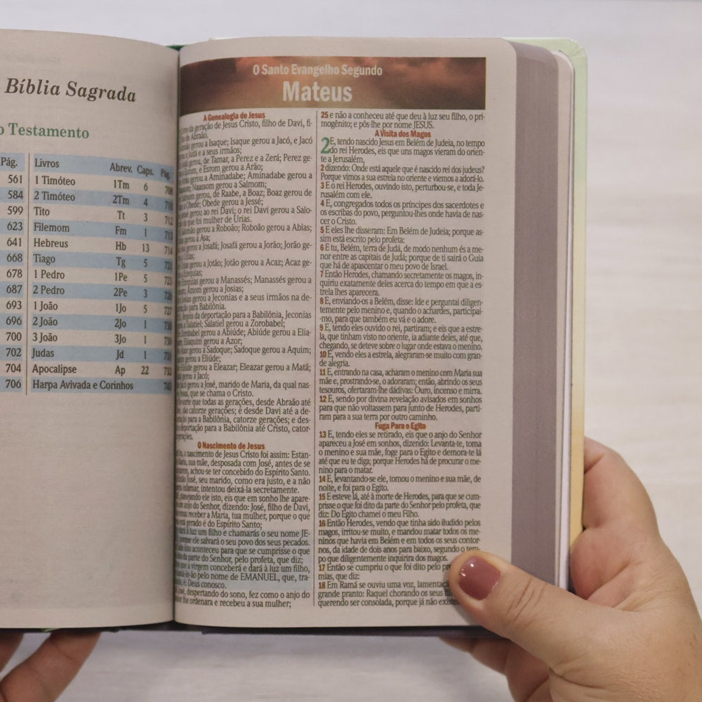 Bíblia Sagrada Tua Graça | ARC | Letra Maior | Harpa e Corinhos | Capa Dura