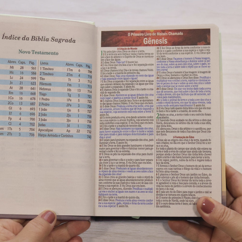 Bíblia Sagrada Tua Graça | ARC | Letra Maior | Harpa e Corinhos | Capa Dura