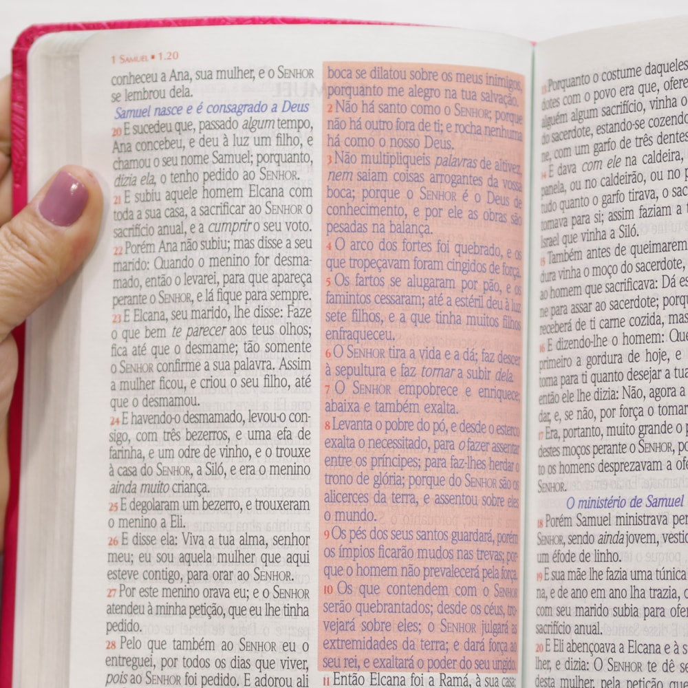 Bíblia Sagrada Harpa Celestial 774 | ERC | Letra Extra Gigante | Capa Pink Floral