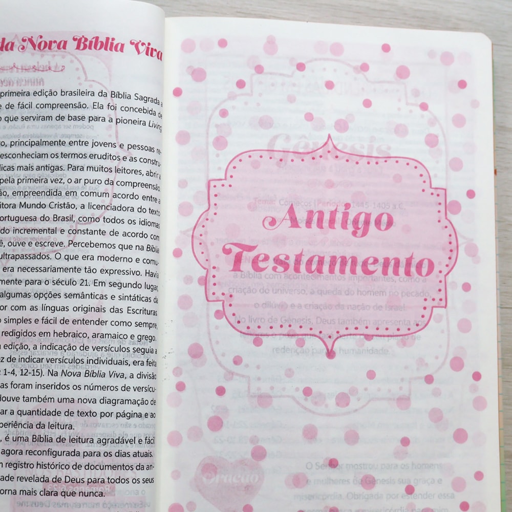 Bíblia da Garota Segundo o Coração de Deus | NBV | Capa Dura Felicidade