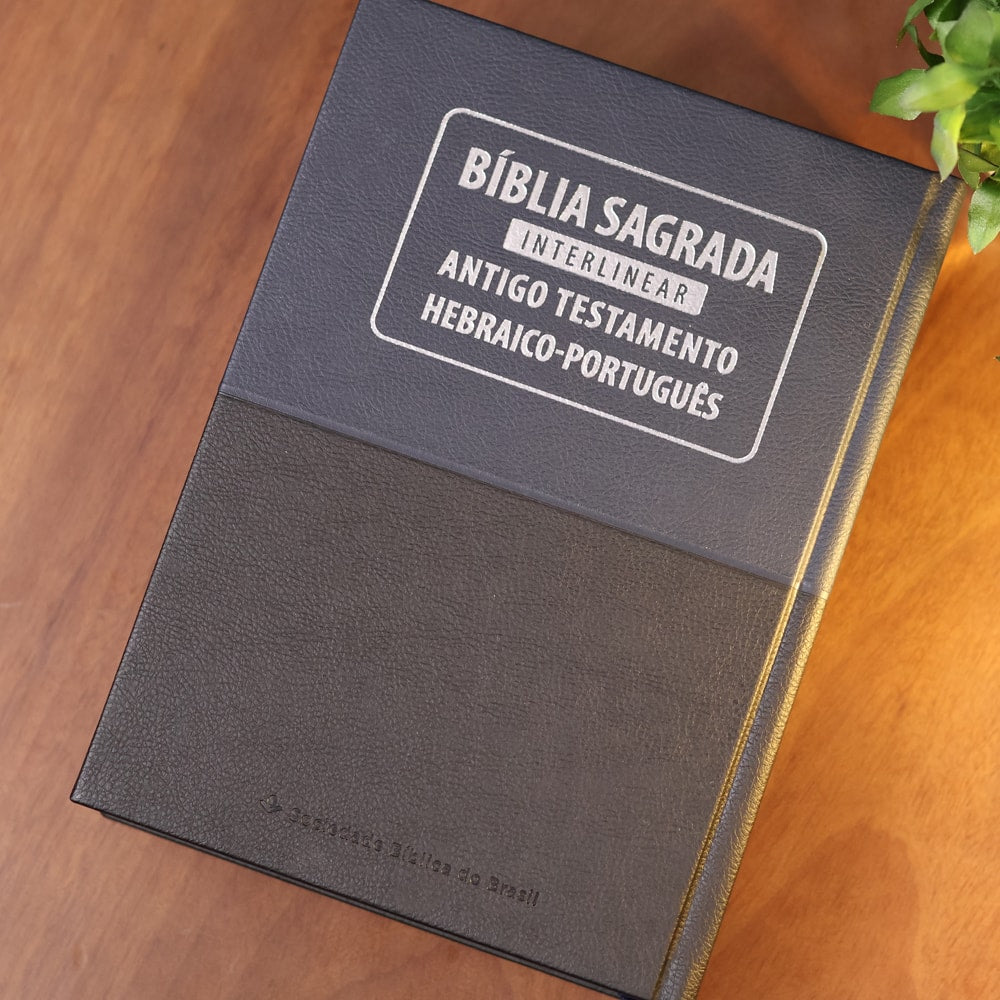 Bíblia Sagrada Interlinear Novo Testamento | Grego-Português