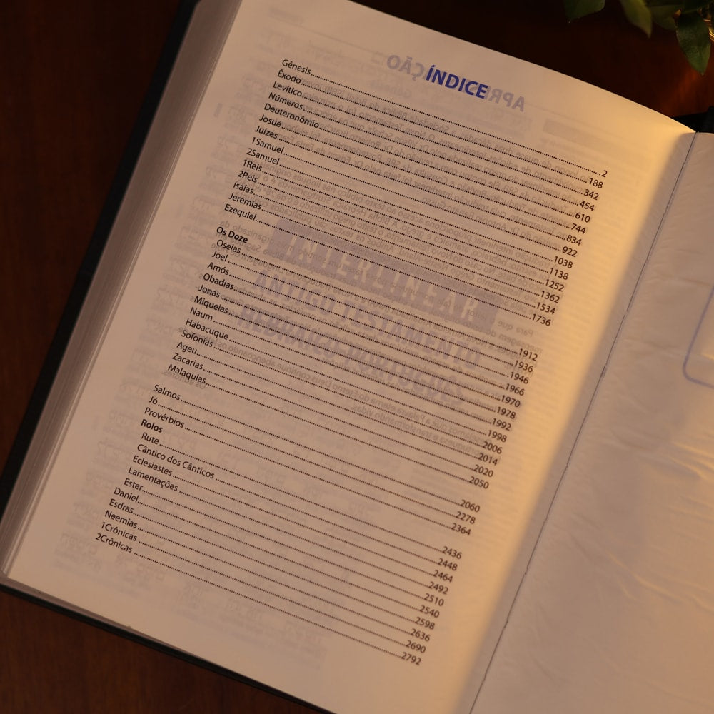 Bíblia Sagrada Interlinear Novo Testamento | Grego-Português