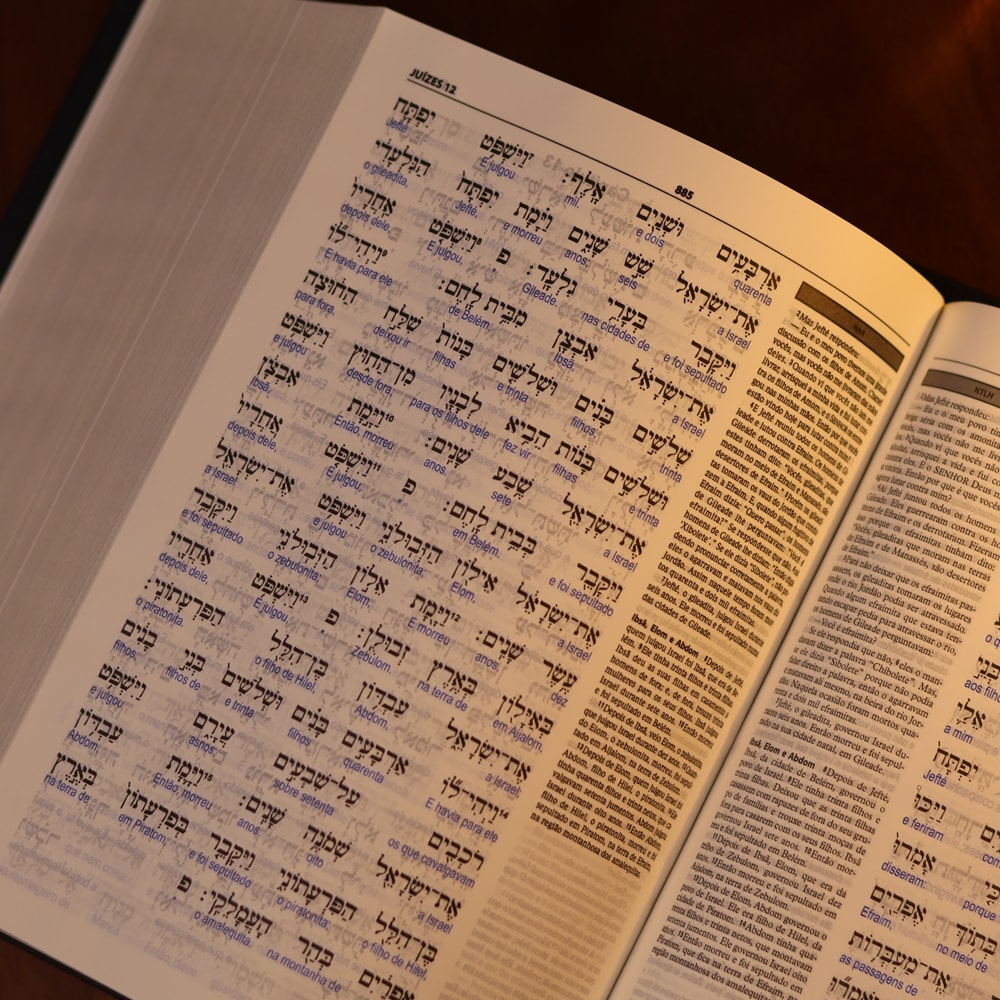 Bíblia Sagrada Interlinear Novo Testamento | Grego-Português