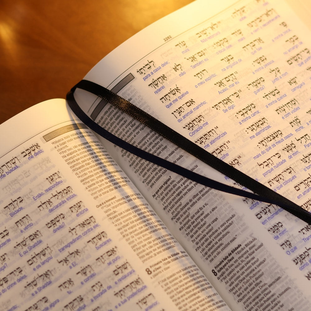 Bíblia Sagrada Interlinear Novo Testamento | Grego-Português