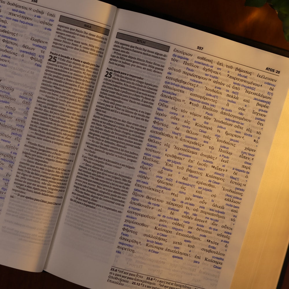 Bíblia Sagrada Interlinear Novo Testamento | Grego-Português
