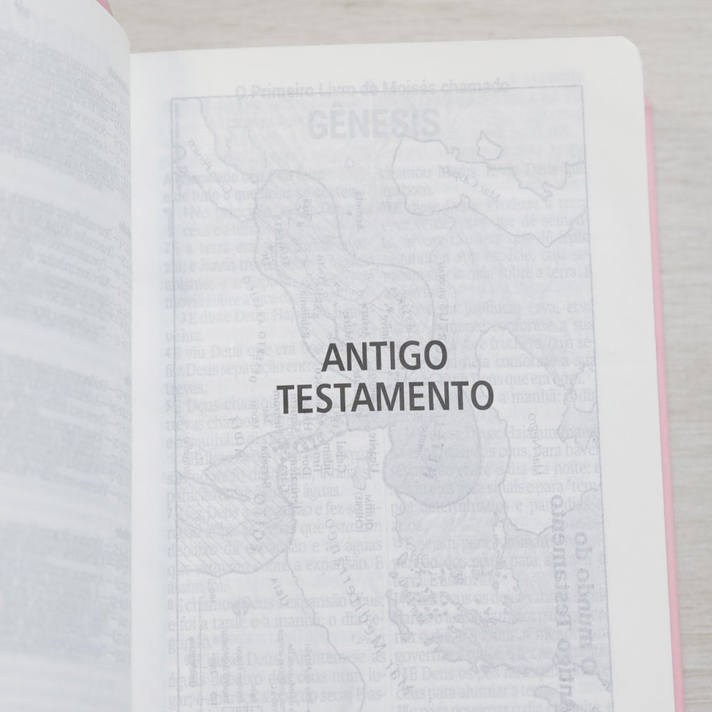 Bíblia Sagrada | ARC | Letra Gigante | Rosa