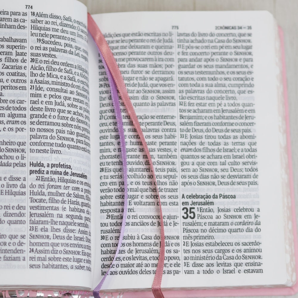 Bíblia Sagrada | ARC | Letra Gigante | Rosa