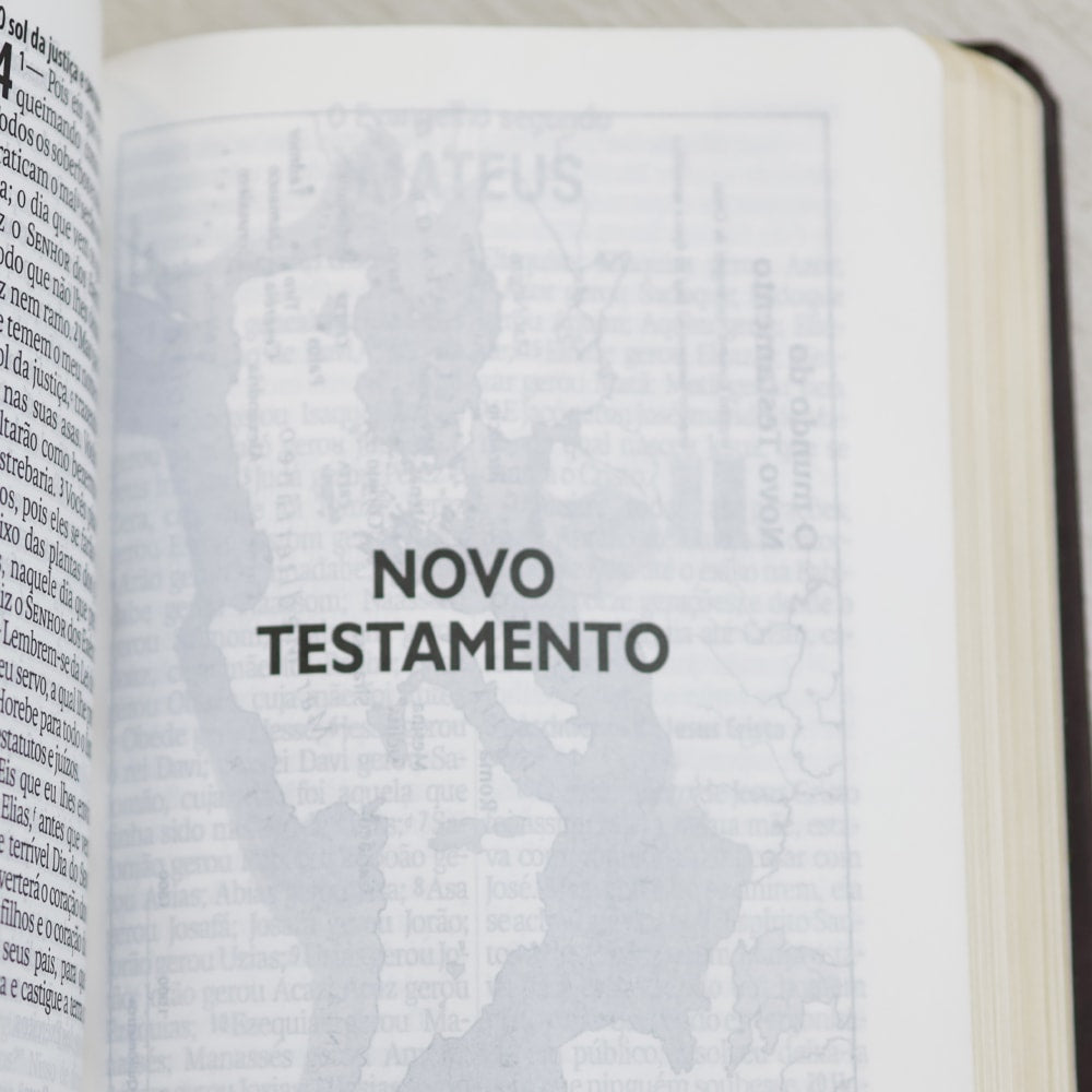 Bíblia Sagrada  | NAA | Letra Gigante | Marrom | Editora SBB