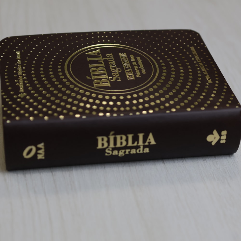Bíblia Sagrada  | NAA | Letra Gigante | Marrom | Editora SBB