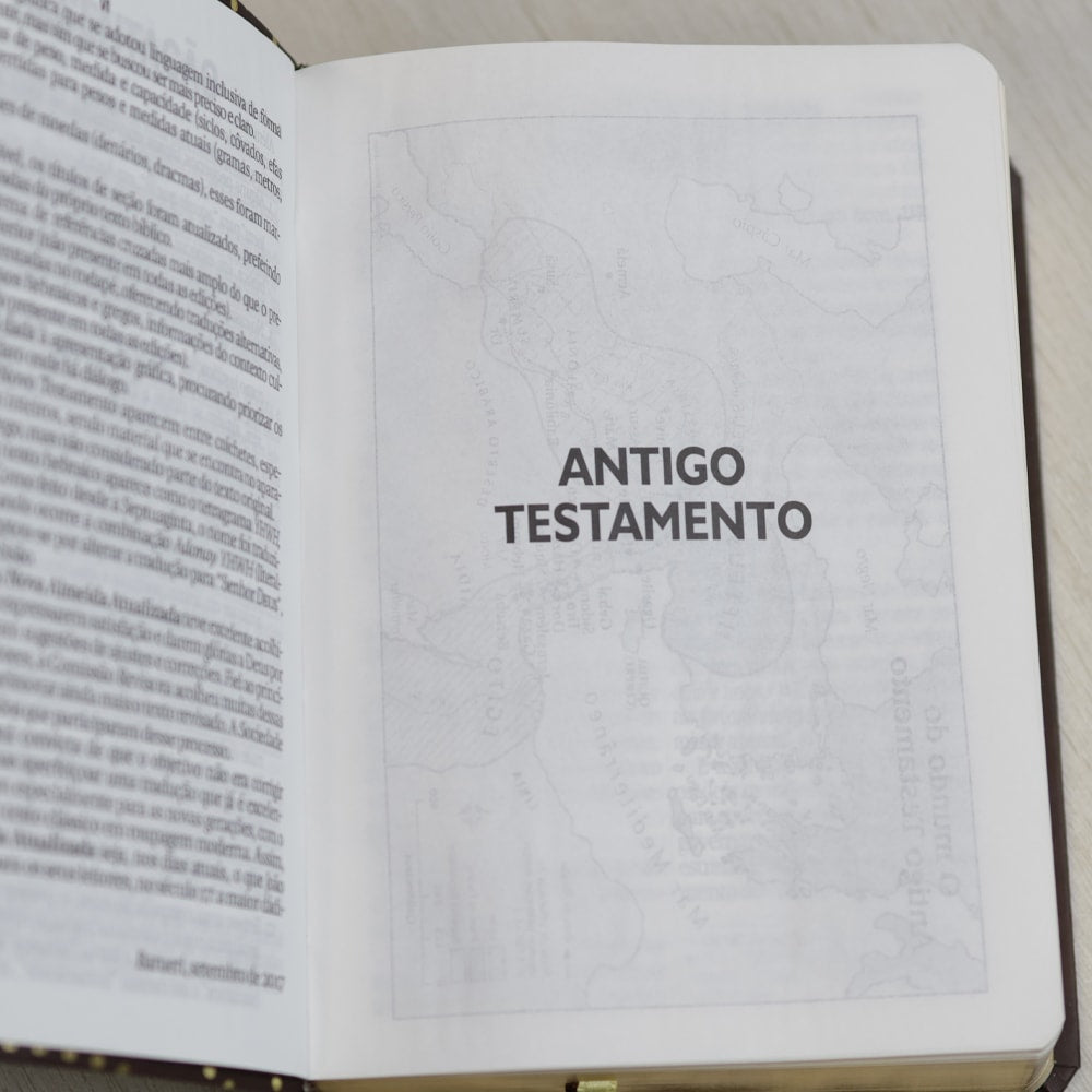 Bíblia Sagrada  | NAA | Letra Gigante | Marrom | Editora SBB