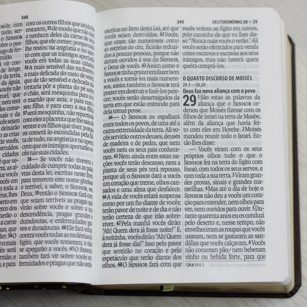 Bíblia Sagrada  | NAA | Letra Gigante | Marrom | Editora SBB
