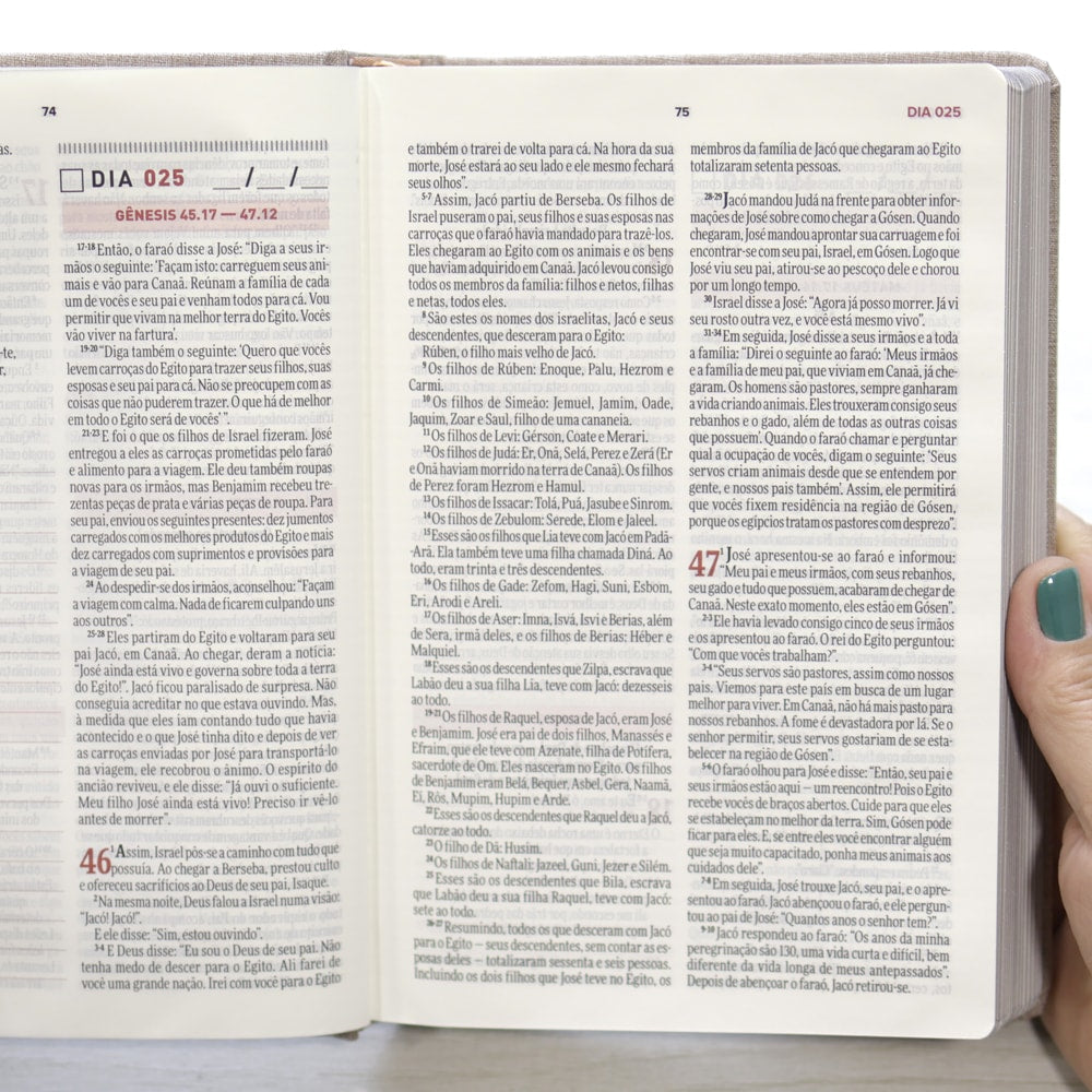 Bíblia Todo Dia | AM | Capa Dura Tecido