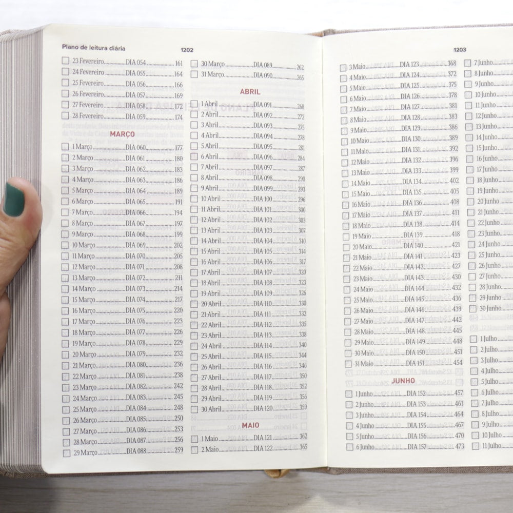 Bíblia Todo Dia | AM | Capa Dura Tecido