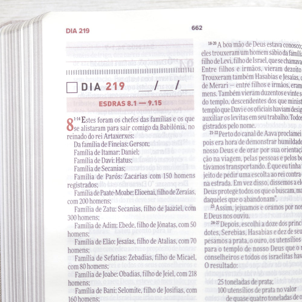 Bíblia Todo Dia | AM | Capa Dura Tecido