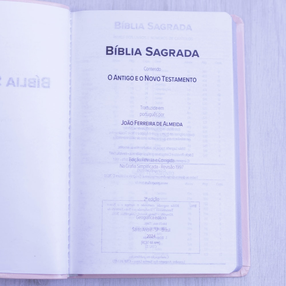 Bíblia Sagrada | ARC | Letra Normal | Capa Luxo Rosa Claro