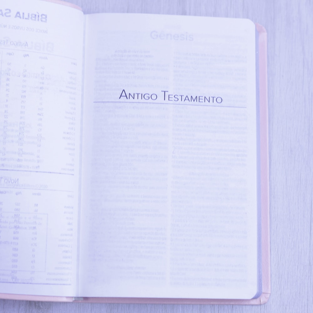 Bíblia Sagrada | ARC | Letra Normal | Capa Luxo Rosa Claro